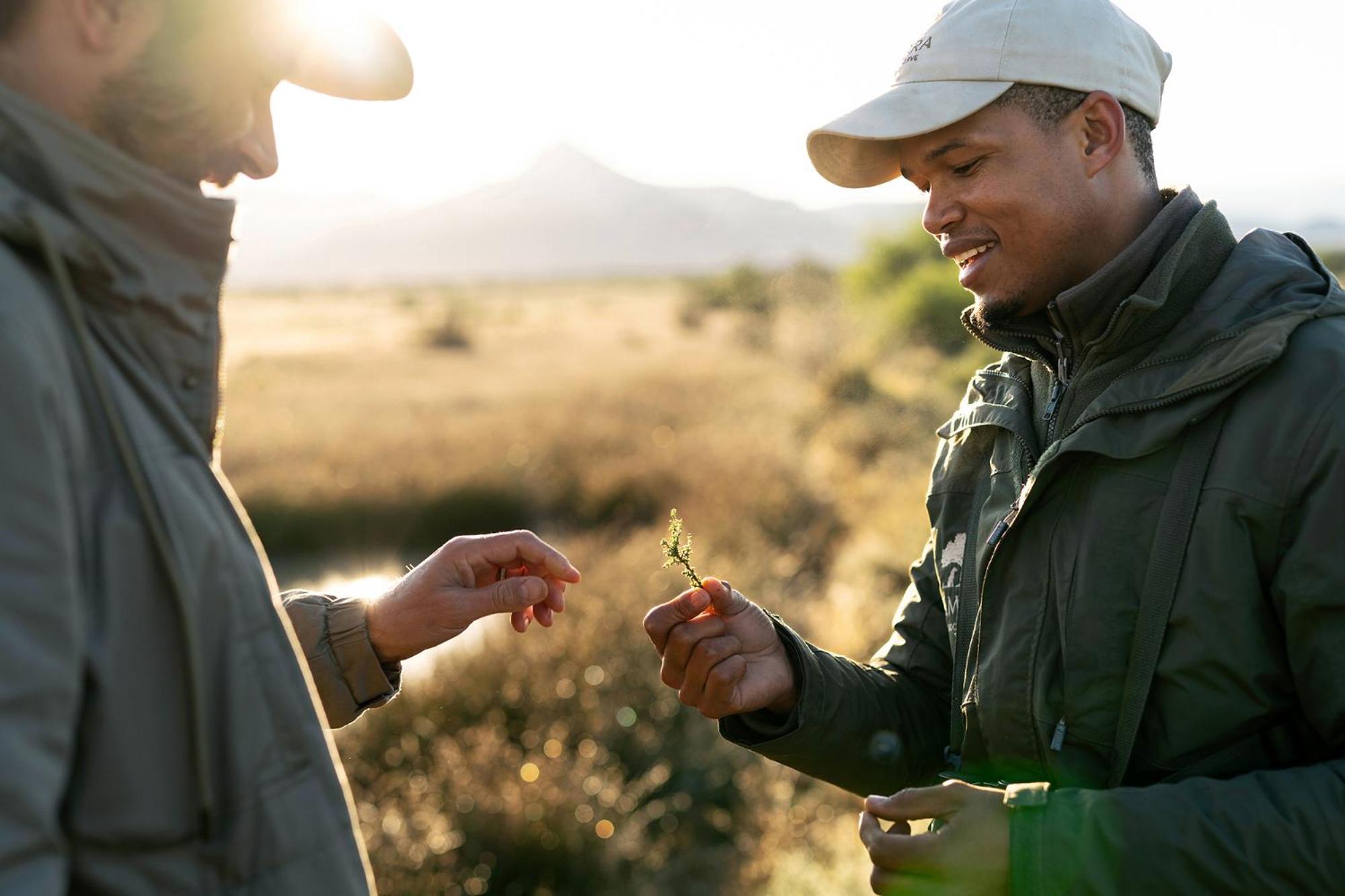 Graaff-Reinet Samara Karoo Reserve מראה חיצוני תמונה