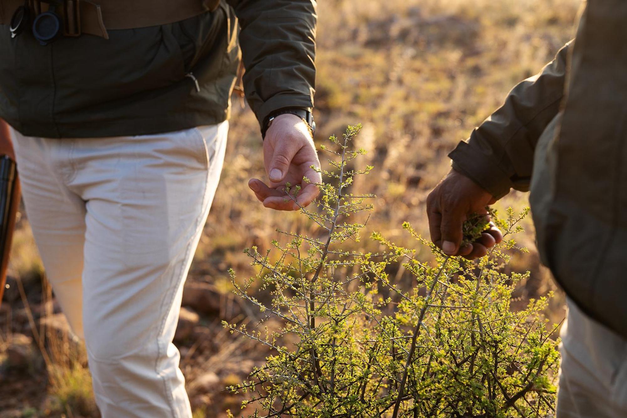 Graaff-Reinet Samara Karoo Reserve מראה חיצוני תמונה